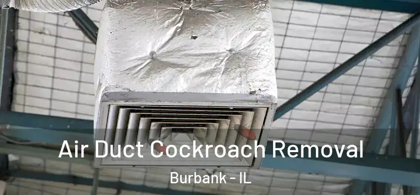  Air Duct Cockroach Removal Burbank - IL