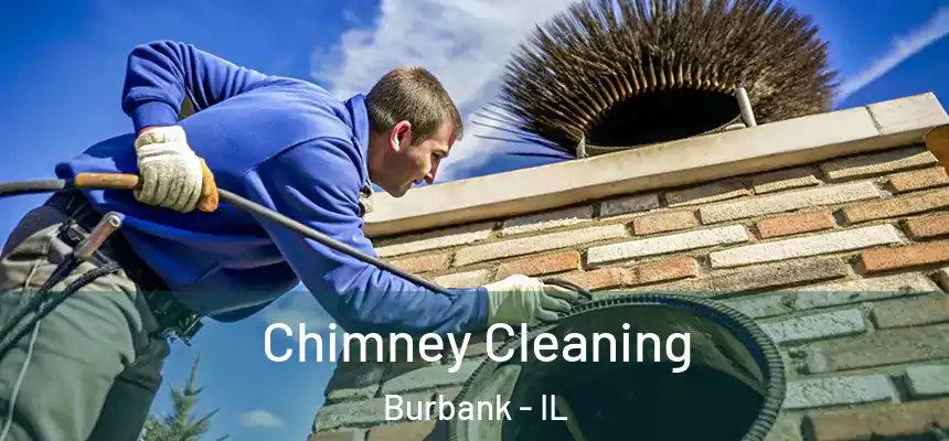 Chimney Cleaning Burbank - IL