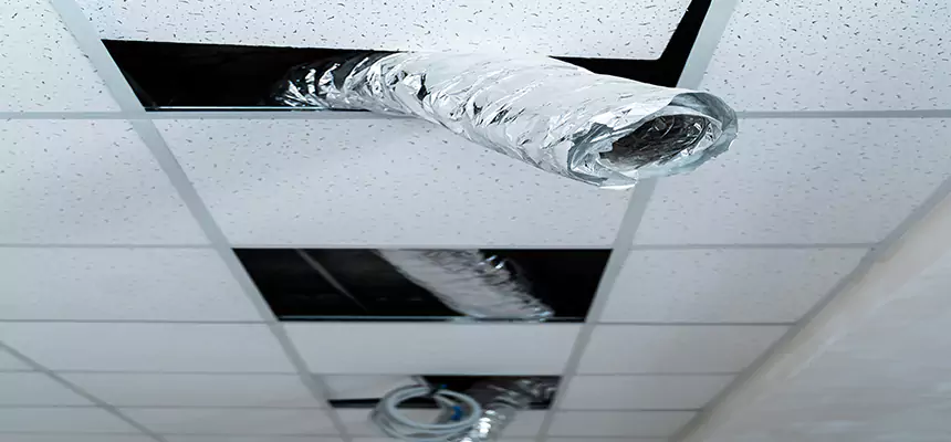 Our Air Duct Pet Hair Removal Services in Burbank, IL