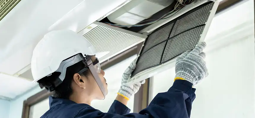 Our Lint Trap Cleaning Service Services in Burbank, IL