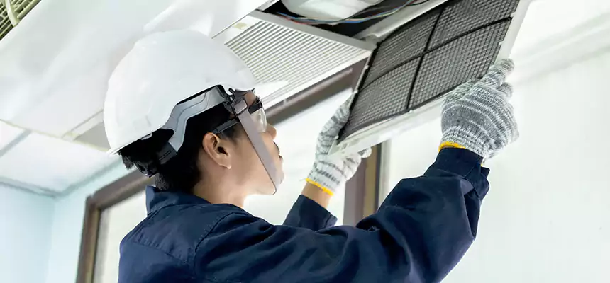 Our Mold & Mildew Removal from Air Ducts Services in Burbank, IL