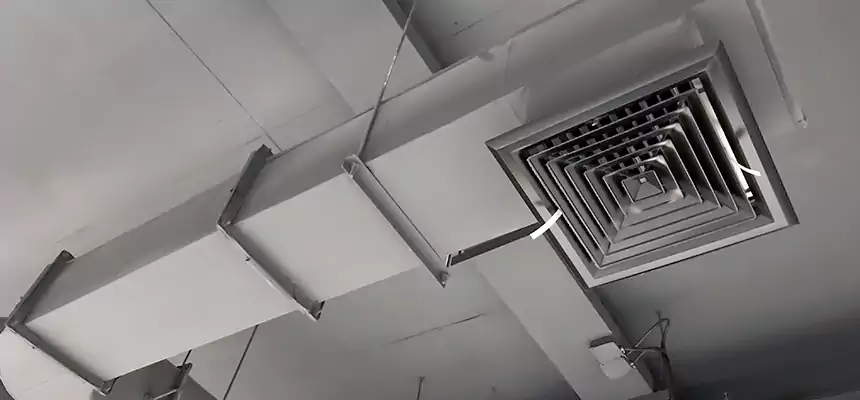 Our Pest Removal From Ducts Services in Burbank, IL