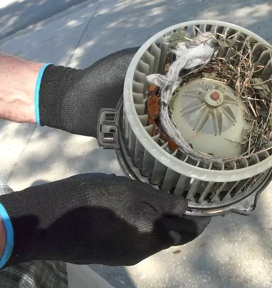 About Air Duct Mice Removal in Burbank, IL