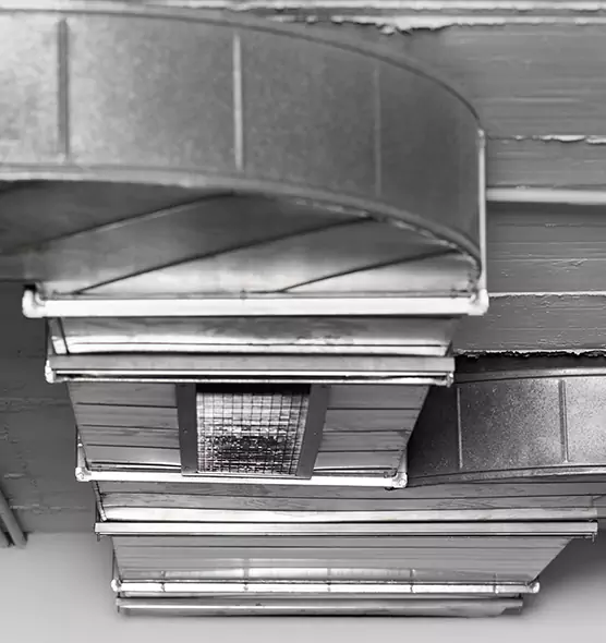 Professional Air Duct Pest Removal in Burbank, IL