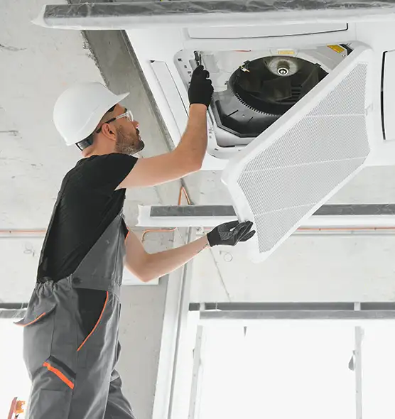 About Air Duct Rodent Removal in Burbank, IL