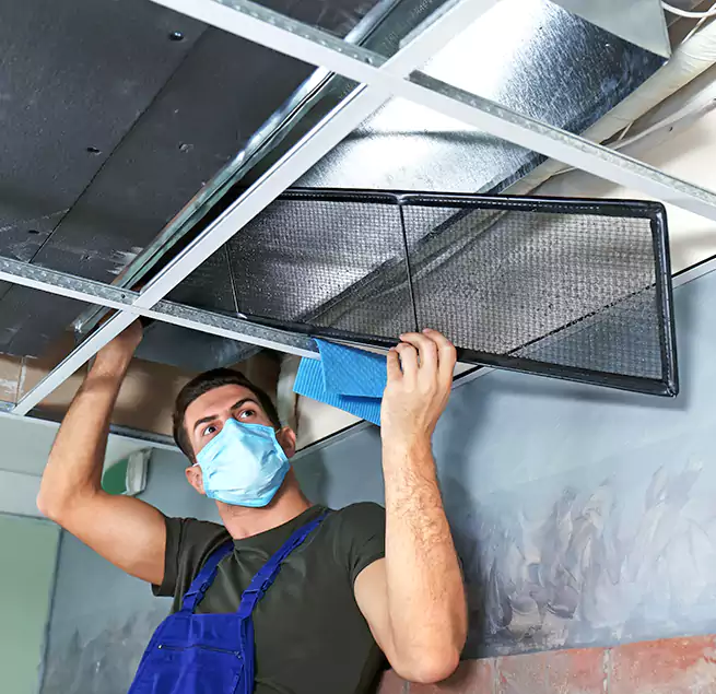 Why Homeowners Businesses Trust Us in Burbank, IL