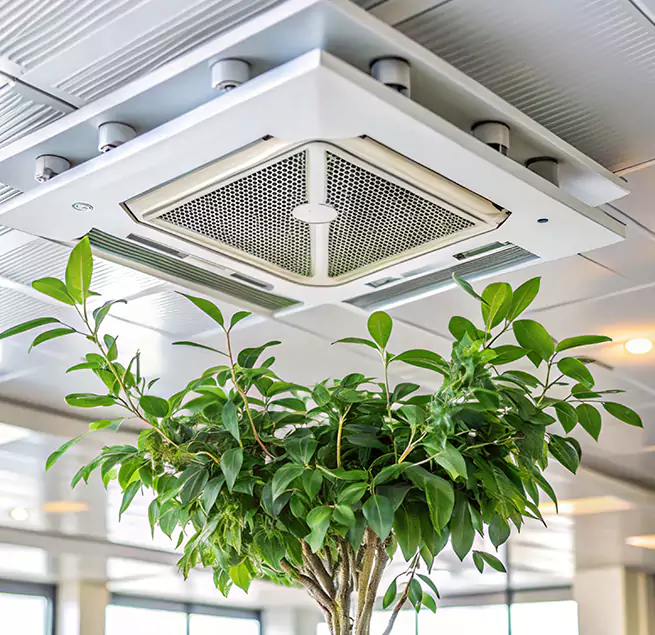 Why Homeowners & Businesses Trust Us in Burbank, IL