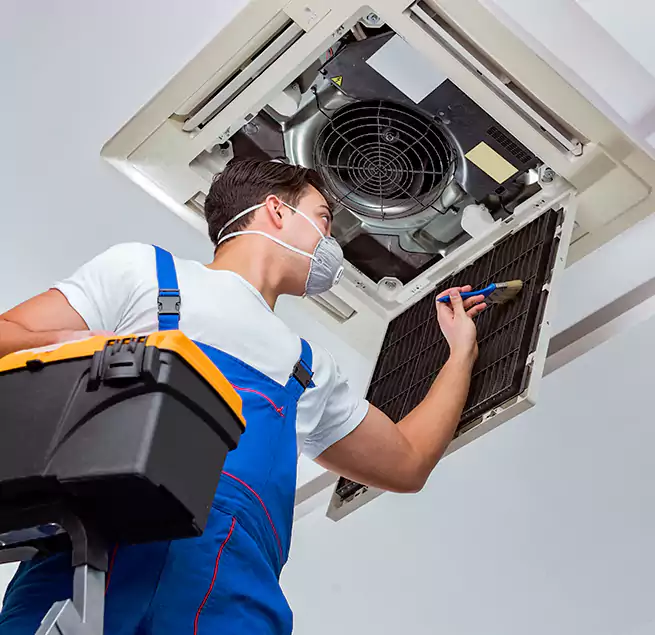 Why Homeowners & Businesses Trust Us in Burbank, IL?